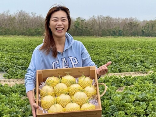 高級瓜果「天使」洋香瓜 高雄年底擴大生產讓消費者大飽口福