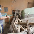 屏東縣打造森林碳權品牌 力拚本土碳匯示範場域