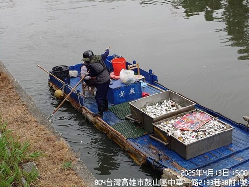 近日愛河死魚漂浮 高市環保局已清除打撈完竣