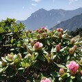 愛護山林永續土地 募熱血志工合歡山清境淨山