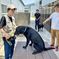 守護毛英雄健康 動保處為搜救犬警犬施打疫苗