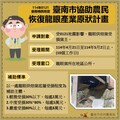 臺南市協助農民恢復龍眼產業原狀計畫啟動 4月21日起受理農民申請