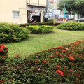 45處城市空間煥新 綠意重塑高雄都市活力