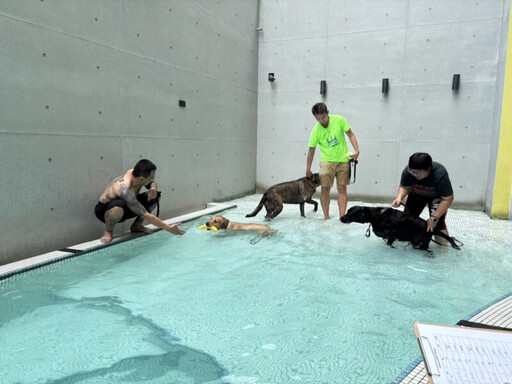 高雄「寵愛夏季水上運動開跑」 好伴空間清涼登場 大狗勾High翻天