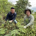 守護楠梓仙溪國家級重要濕地 高市農業局邀民眾動手移除外來入侵植物