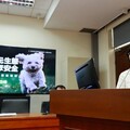 動物需要保護，民眾更需要安全 林岱樺：TNR政策該重新審視檢討