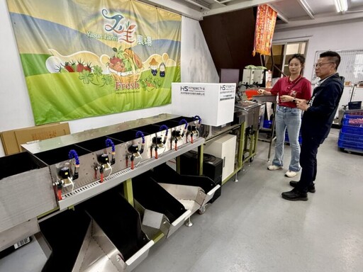 採用AI挑好果 人力需求減半、效率增5成 高雄小番茄變聰明！