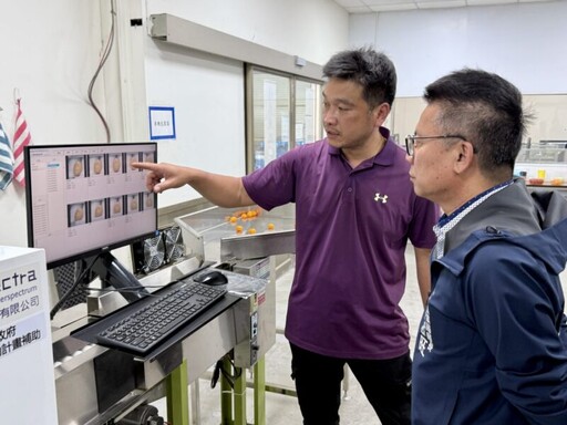 採用AI挑好果 人力需求減半、效率增5成 高雄小番茄變聰明！