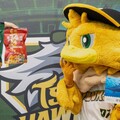 台鋼雄鷹「南人祭」登場 魚饌食跨界應援推超人氣「多多魚脆條」