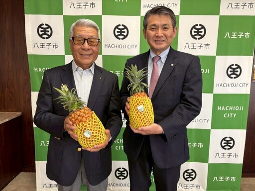 高雄金鑽鳳梨外銷好口碑 日本國中生都愛不釋手大囋「歐依細」
