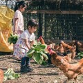 高市農業局攜手高雄農改場協力培訓食農教育特攻隊
