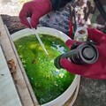 南市新增第3例境外移入登革熱確診病例 黃偉哲籲做好防蚊措施！