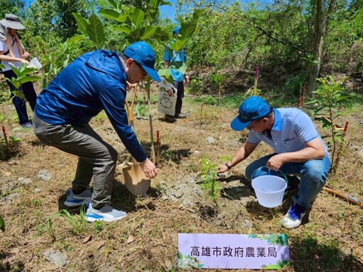 高市打造「生態樹島」抑制入侵種銀合歡 官民協力復育半屏山原生林守護生物多樣性