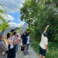 高師大策辦月世界包粽體驗與微旅行 帶領民眾跟著月桃香走田寮
