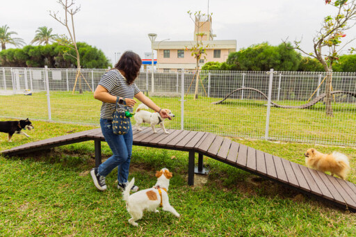 毛孩最愛的快樂碼頭 高市公園處梓官蚵仔寮打造寵物友善新亮點