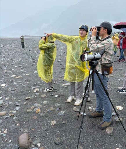 世界生物多樣性日 海保署聯合各界保育小燕鷗與綠蠵龜