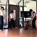 毛小孩暑假期間不無聊 ! 高市動保處開辦訓犬課程馬拉松