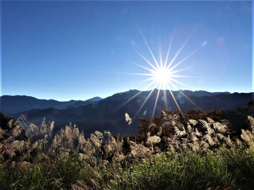 消暑涼快一夏 阿里山暑夏星森天文生態體驗營精采多元