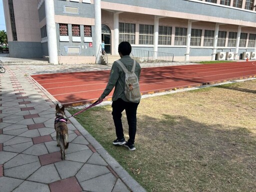 屏縣動保條例正式上路 遛狗不繫繩最高開罰1萬5