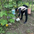 「梅」好生活齊防蚊，雨季拒絕登革熱，邀大家一起「巡倒清刷」！