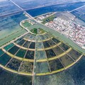 打造台式借問貼心服務新據點！「雙吉船之棧」進駐台南將軍