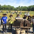 六堆客家文化園區黃金稻穗 糯米大豐收