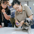 高市動保處推「寵物血糖健康推廣計畫」守護毛寶貝健康 「愛牠！就要避免甜蜜危機上身」