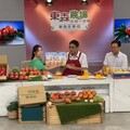 臺南農業局助農民拓銷路 攜手東森農場推愛文芒果優惠直播