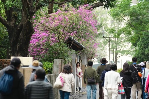 台南321巷藝術聚落7月1日起戶外午後開放