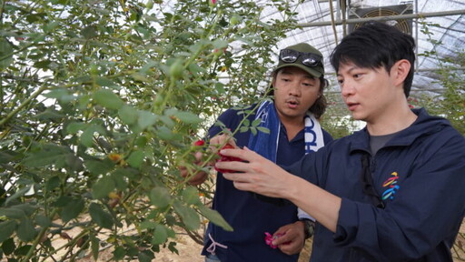 高雄青年扎根杉林與那瑪夏 玫瑰與無螫蜂寫下青農創業篇章