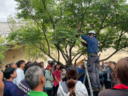 高雄景觀樹木專業修剪人力再添生力軍！讓修樹交給專業的