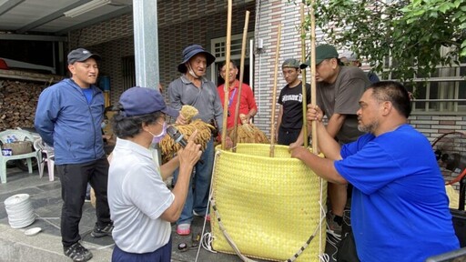 「小米負重」慶豐收 中山大學協助傳承魯凱族傳統文化
