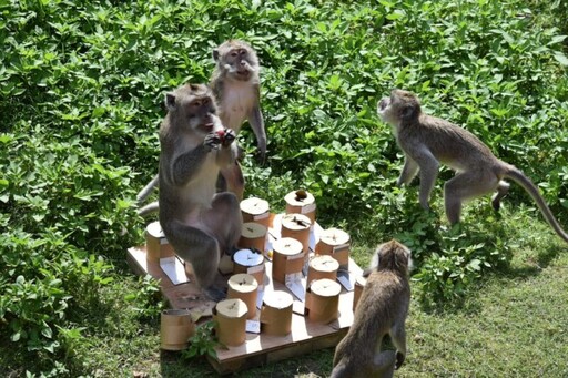 竹市動物園攜手宇辰系統科技製作遊具 促進動物行為豐富化