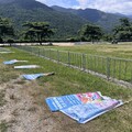 楊柳颱風來襲 臺東國際熱氣球嘉年華活動公布取消