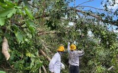 台電台東區處全力搶修楊柳颱風災情 力拚午夜前復電