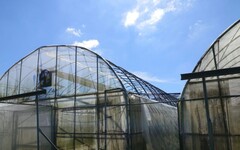 高雄市農業局再次爭取楊柳颱風農損救助即日起受理