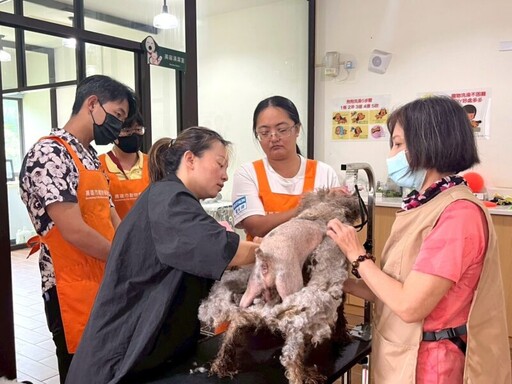 助飼主及毛孩同步升級！高市動保處暑期訓犬課程圓滿落幕