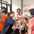 助飼主及毛孩同步升級！高市動保處暑期訓犬課程圓滿落幕