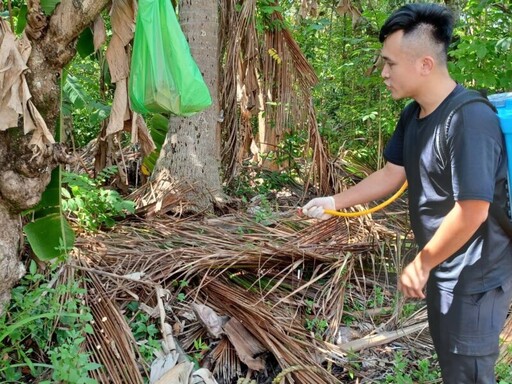 琉璃蟻滋擾升溫 高市農業局籲全民協力防治