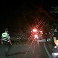 路樹倒塌阻礙交通 員警協助