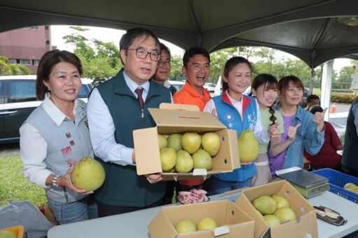 2025麻豆文旦節主場活動登場 黃偉哲強化行銷台南文旦柚