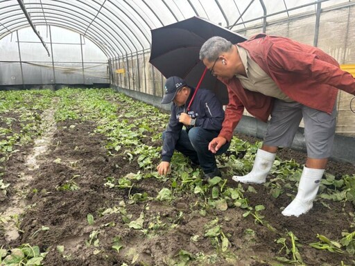 勘查農田水利溝渠及蔬菜受災現況 農業局將報請農業部現金救助