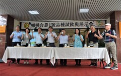 咖啡品種台農1號 突破中低海拔種植瓶頸提升產業競爭力