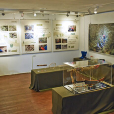 中山大學原民展至12月1日 重現南澳泰雅生命脈絡