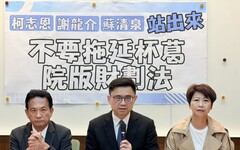 藍白封殺院版財劃法！賴瑞隆號召8立委點名高南屏三位藍營參選人：速審院版財劃法 還南部公平正義