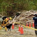 竹市搜救犬隊通過國家MRT認證 展現救災實戰能力