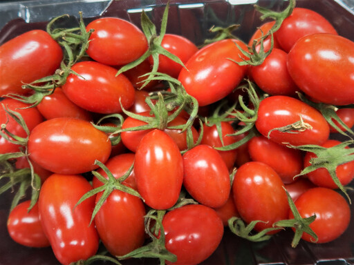 營養豐富酸甜爽口的小番茄盛產期來了！ 怎麼挑選和保存好？