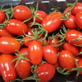 營養豐富酸甜爽口的小番茄盛產期來了！ 怎麼挑選和保存好？