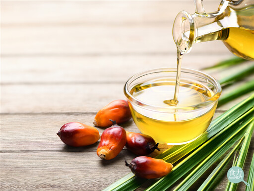 棕櫚油有可能染「紅」嗎？專家表示精製棕櫚油根本不需要加蘇丹紅！