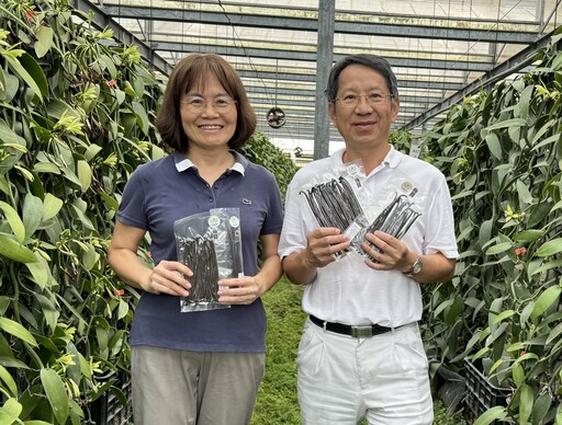 台灣也有自己的新鮮香草莢！桃改場與輔大共同開發「香草莢風味輪」、多層次風味獲三星殊榮！
